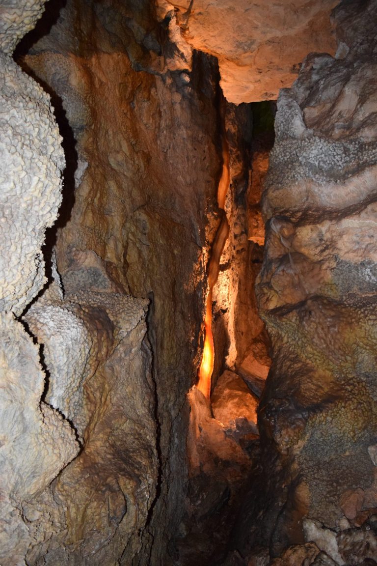 DSC_0301-e1486962297644